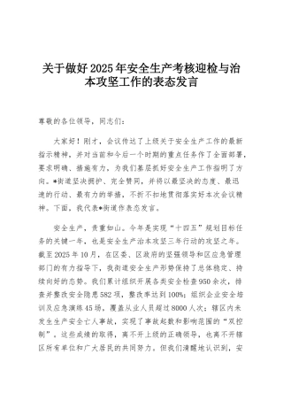 关于做好2025年安全生产考核迎检与治本攻坚工作的表态发言