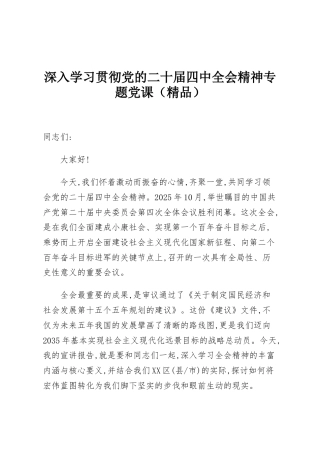 深入学习贯彻党的二十届四中全会精神专题党课（精品）