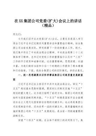 在XX集团公司党委(扩大)会议上的讲话（精品）