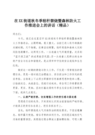 在XX街道秋冬季秸秆禁烧暨森林防火工作推进会上的讲话（精品）