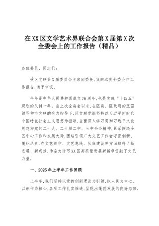 在XX区文学艺术界联合会第X届第X次全委会上的工作报告（精品）