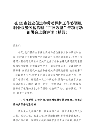 在XX市就业促进和劳动保护工作协调机制会议暨欠薪治理“百日攻坚”专项行动部署会上的讲话（精品）