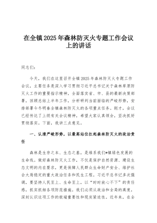 在全镇2025年森林防灭火专题工作会议上的讲话