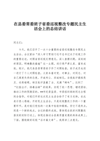 在县委常委班子省委巡视整改专题民主生活会上的总结讲话