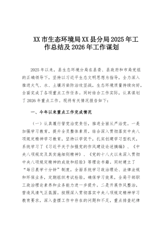 XX市生态环境局XX县分局2025年工作总结及2026年工作谋划