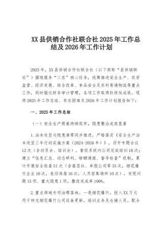 XX县供销合作社联合社2025年工作总结及2026年工作计划