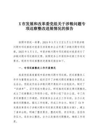 X市发展和改革委党组关于涉粮问题专项巡察整改进展情况的报告