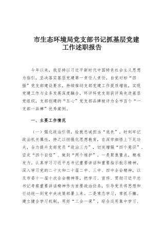 市生态环境局党支部书记抓基层党建工作述职报告