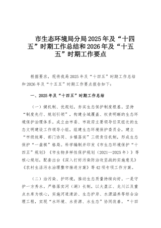 市生态环境局分局2025年及“十四五”时期工作总结和2026年及“十五五”时期工作要点