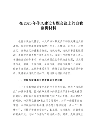 在2025年作风建设专题会议上的自我剖析材料
