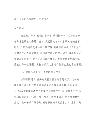 城投公司副总经理研讨发言材料