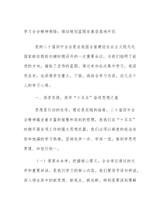 学习全会精神感悟：推动规划蓝图在基层落地开花