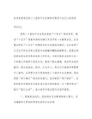 在市委常委会的二十届四中全会精神专题学习会议上的讲话