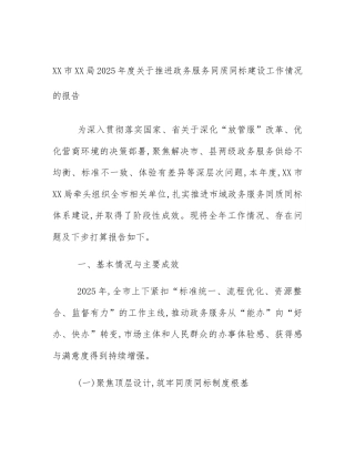 XX市XX局2025年度关于推进政务服务同质同标建设工作情况的报告