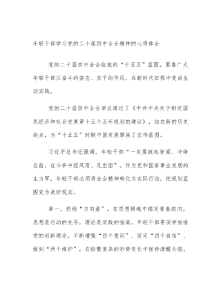 年轻干部学习党的二十届四中全会精神的心得体会