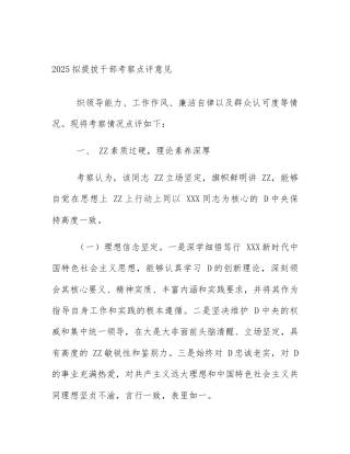 2025拟提拔干部考察点评意见