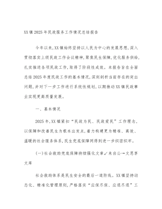 XX镇2025年民政服务工作情况总结报告
