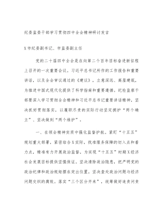 纪委监委干部学习贯彻四中全会精神研讨发言
