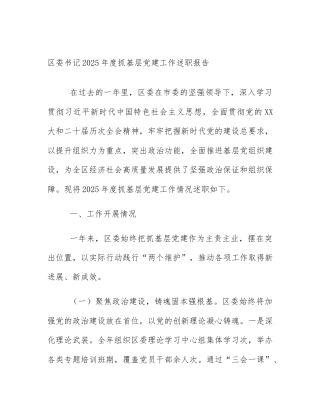 区委书记2025年度抓基层党建工作述职报告