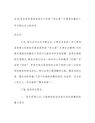 在XX县自然资源局党组关于巡察“回头看”反馈意见整改工作专题会议上的讲话