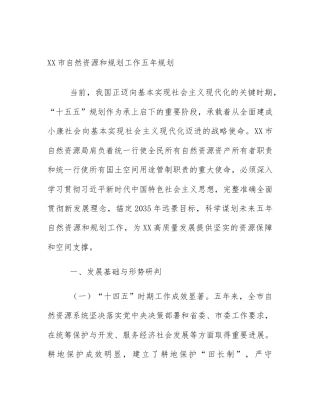 XX市自然资源和规划工作五年规划