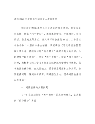 法院2025年度民主生活会个人发言提纲