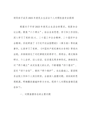 领导班子成员2025年度民主生活会个人对照检查发言提纲
