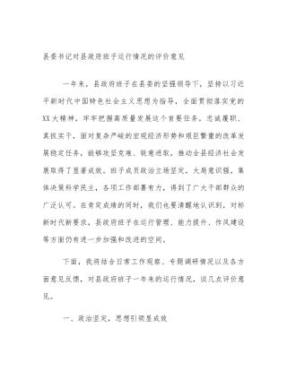 县委书记对县政府班子运行情况的评价意见