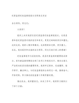 纪委监委纪检监察组组长任职表态发言