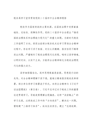 税务局学习宣传贯彻党的二十届四中全会精神感悟