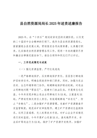 县自然资源局局长2025年述责述廉报告