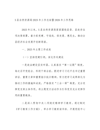 X县自然资源局2025年工作总结暨2026年工作思路