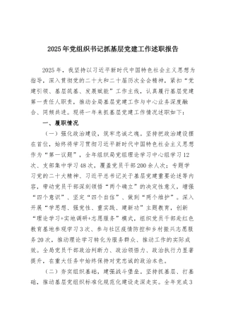 2025年党组织书记抓基层党建工作述职报告