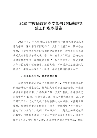 2025年度民政局党支部书记抓基层党建工作述职报告