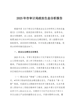 2025年市审计局政治生态分析报告