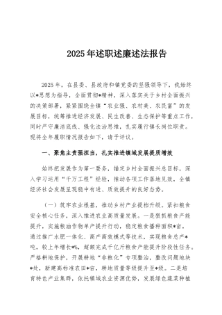 2025年述职述廉述法报告