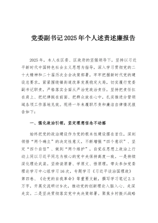 党委副书记2025年个人述责述廉报告