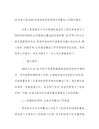 XX市审计局2025年度招标投标领域专项整治工作情况报告