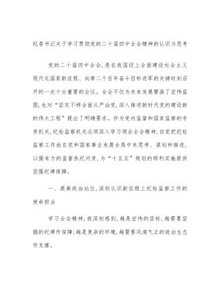 纪委书记关于学习贯彻党的二十届四中全会精神的认识与思考