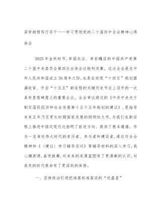 深学细悟笃行实干——学习贯彻党的二十届四中全会精神心得体会
