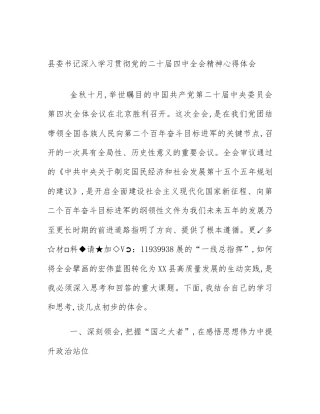 县委书记深入学习贯彻党的二十届四中全会精神心得体会