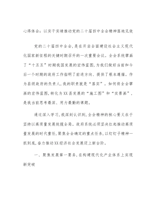 心得体会：以实干实绩推动党的二十届四中全会精神落地见效