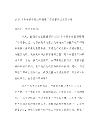 在2025年年轻干部挂职锻炼工作部署会议上的讲话