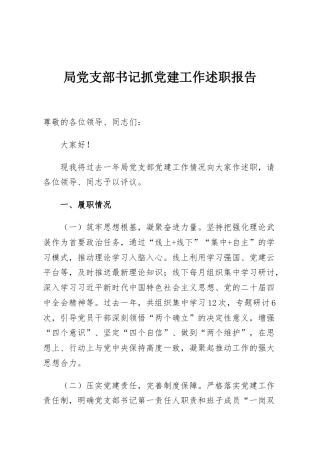 局党支部书记抓党建工作述职报告