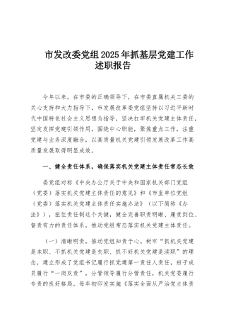 市发改委党组2025年抓基层党建工作述职报告