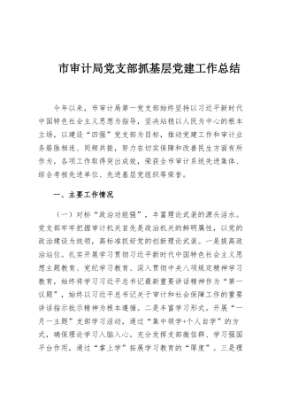 市审计局党支部抓基层党建工作总结