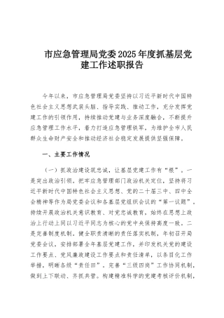 市应急管理局党委2025年度抓基层党建工作述职报告