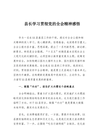 县长学习贯彻党的全会精神感悟