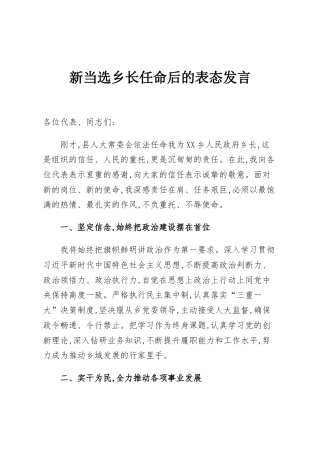 新当选乡长任命后的表态发言