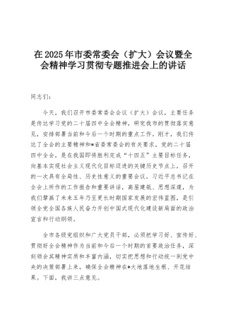在2025年市委常委会（扩大）会议暨全会精神学习贯彻专题推进会上的讲话